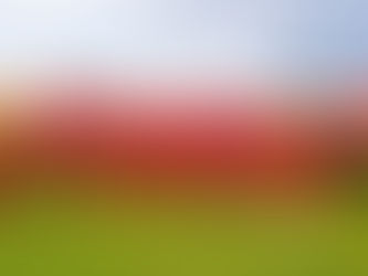 União busca aproveitar o mando de campo para avançar diante do Atlético-GO na Copa do Brasil