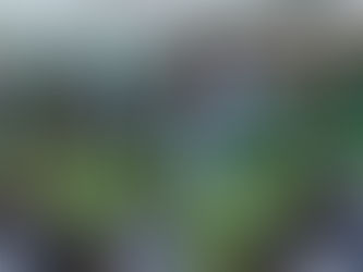 Com preços populares, Mixto define valores dos ingressos contra o Sinop