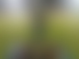 Copa FMF tem data marcada para iniciar; confira os duelos da primeira rodada