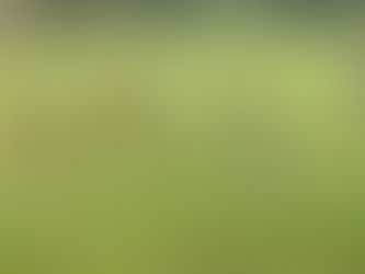 Atual vice-campeão estadual, União segue preparação para a temporada 2023; conheça elenco