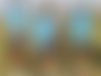 Camilo desfalca o Cuiabá contra o Palmeiras no Allianz