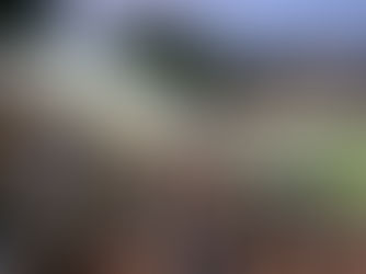 Segunda divisão: Paulistano e Mixto teve quase mil torcedores presentes no Dutrinha