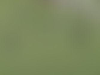 Nova Mutum empata fora de casa com o Uberlândia no primeiro jogo da 2ª fase da Série D