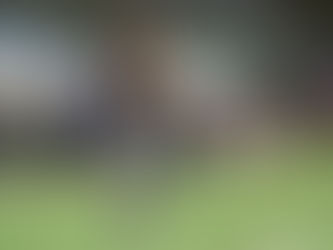 Após comandar o Cuiabá na temporada, Alberto Valentim é contratado pelo Athletico-PR