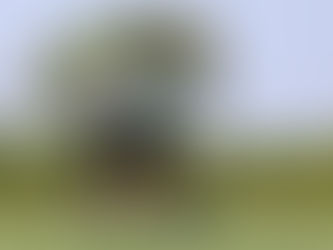 Cuiabá tem dois retornos e Wellington Silva segue fora; veja provável