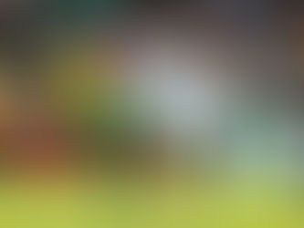 Cuiabá empata com o Luverdense na semifinal e perde 100% de aproveitamento no Mato-grossense