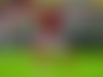 Cuiabá acerta o empréstimo de meia do Flamengo