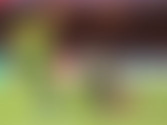 Cuiabá alcança sua melhor campanha na Série A após empate com São Paulo