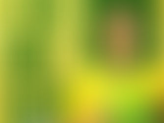 Cuiabá oficializa a contratação do zagueiro Bruno Alves