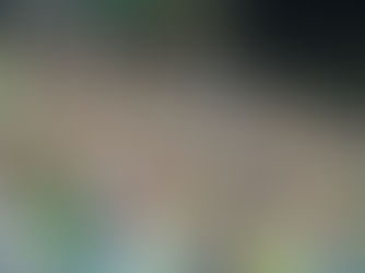 Com valores a partir de R$ 10, Cuiabá inicia venda de ingressos para jogo contra Internacional