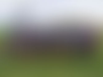 Brasileiro Feminino: Mixto recebe o Vila Nova-GO no Dutrinha