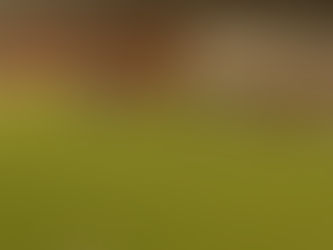 União registra novo recorde de público do Campeonato Mato-grossense 2024