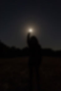 star night .jpeg