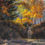 Thumbnail: Autumn Splendor