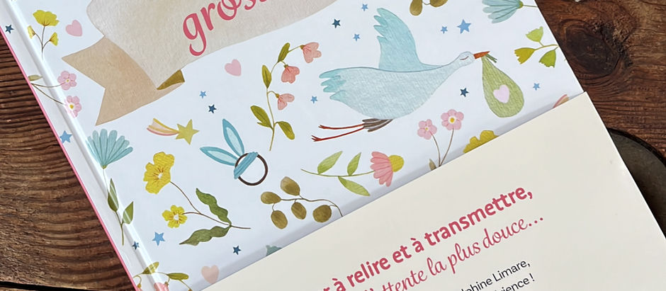 MON LIVRE EST SORTI !