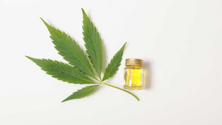 What's all the hype around CBD and Hemp Oil?