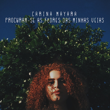 Capa PAFDMV (frente)
