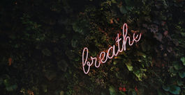Divine Breath: Embrace the Holy Spirit as Jesus Exhales