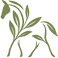 CAL TRANSPARENT CORECT_edited_edited.png