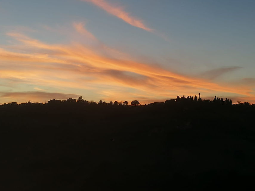 WhatsApp Image 2021-02-01 at 11.01.00 (2).jpeg