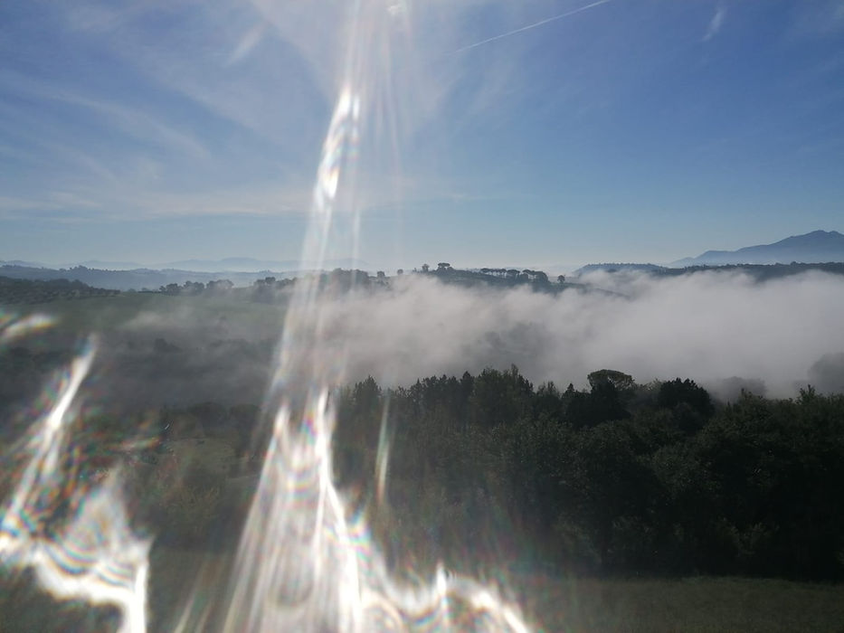 WhatsApp Image 2021-02-01 at 11.01.48 (1