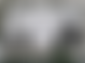 Psychoanalysts Unite … Against Trans