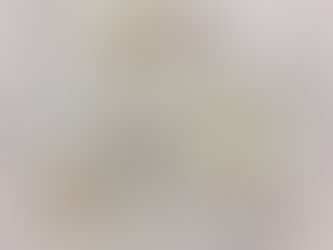 第2回アートコンペティションin横浜に出展します。