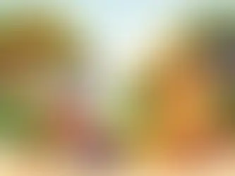 Legjobb feromoncsapdák gyümölcsfákhoz otthon