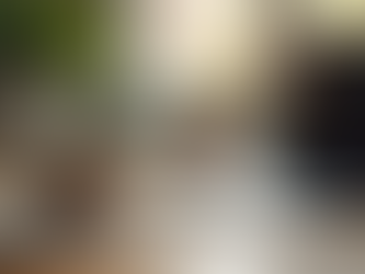 Discover the Secrets of Millionaire Muses