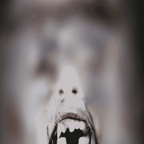 7.gif