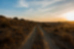 thar-desert-rajasthan-india.jpg
