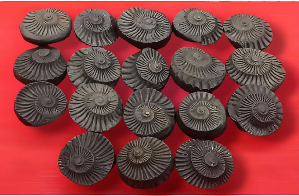 Thumbnail: Sudarshan Shaligram from Nepal Gandaki River Chakra Saligram for Puja, Black