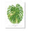 Thumbnail: Monstera Thai Constellation Art Print