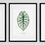 Thumbnail: Alocasia Silver Dragon Art Print