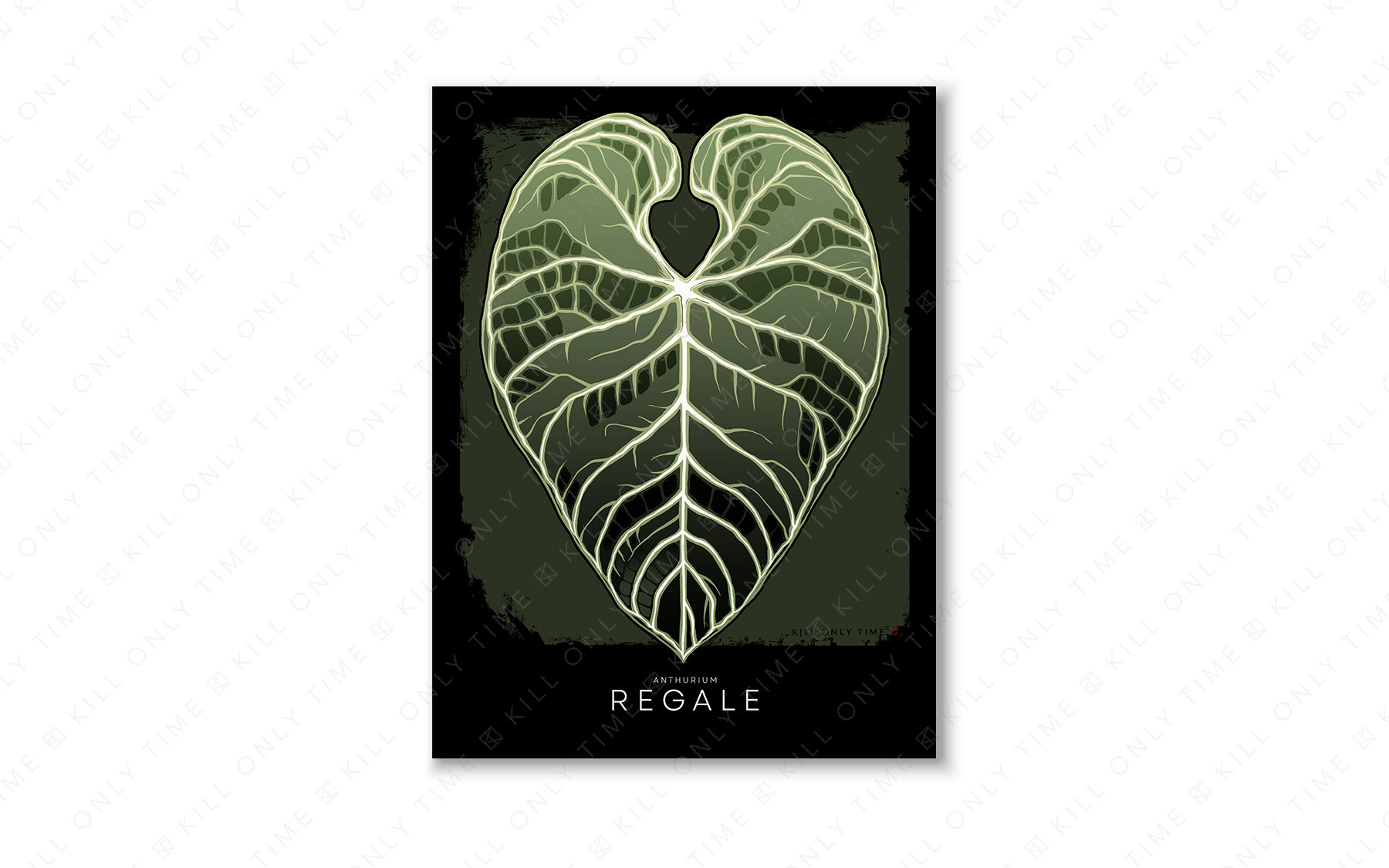 Vintage Anthurium Regale Art Print
