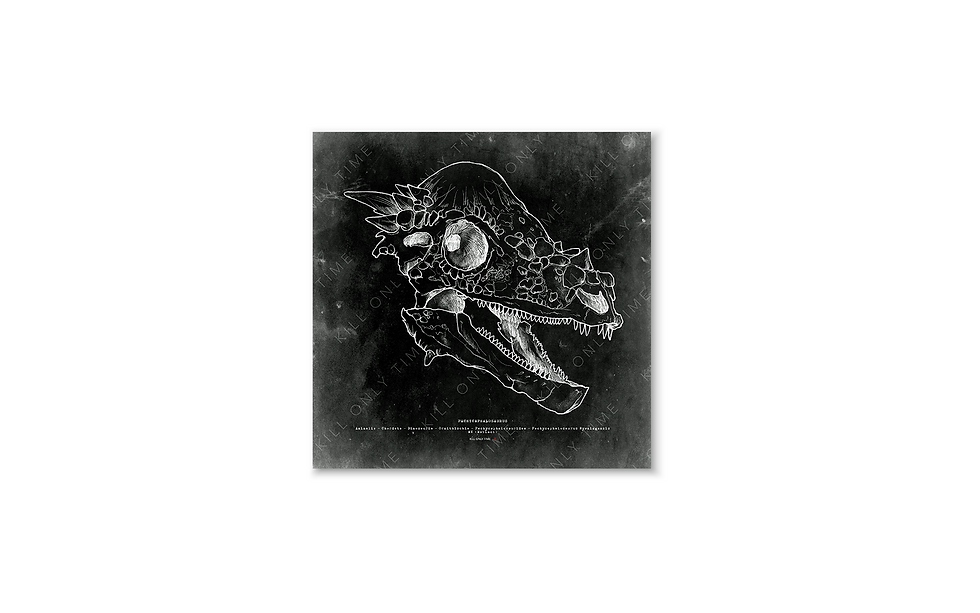 Pachycephalosaurus Skull Art Print