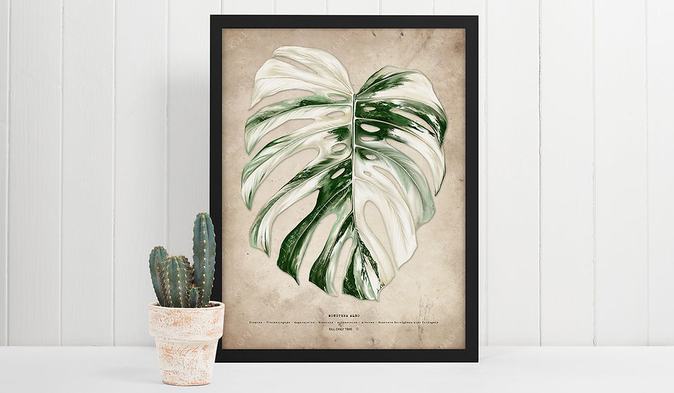Thumbnail: Monstera Albo Art Print