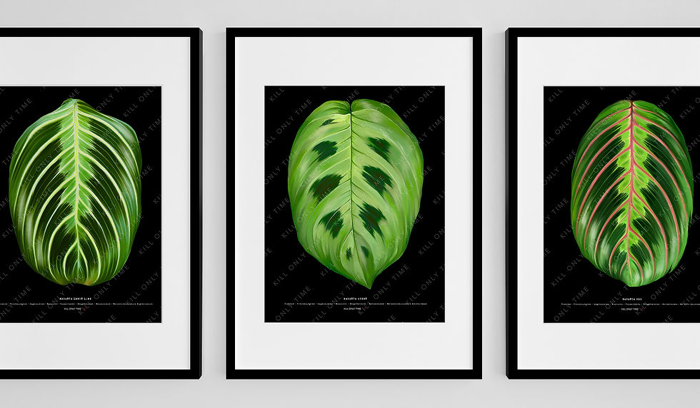 Thumbnail: Maranta Green Art Print