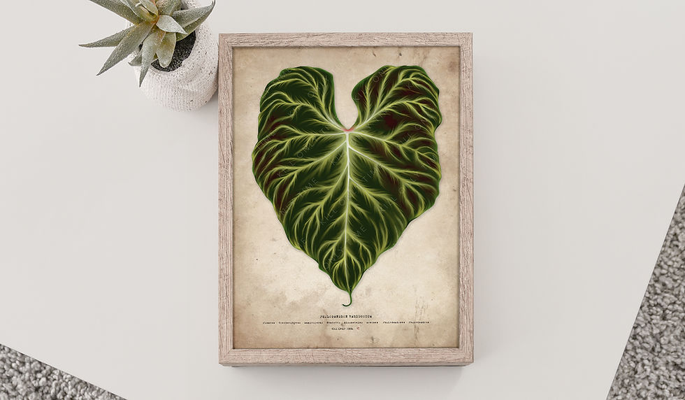 Thumbnail: Philodendron Verrucosum Art Print