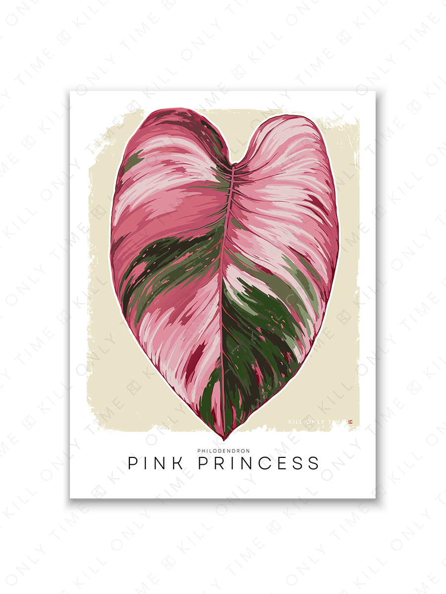 Vintage Philodendron Pink Princess
