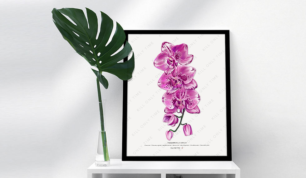 Thumbnail: Phalaenopsis Orchid Art Print