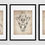 Thumbnail: Bengal Tiger Skull Art Print