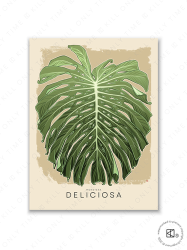 philodendron florida beauty pflege Philodendron Florida Beauty – Foliage Factory main image 1