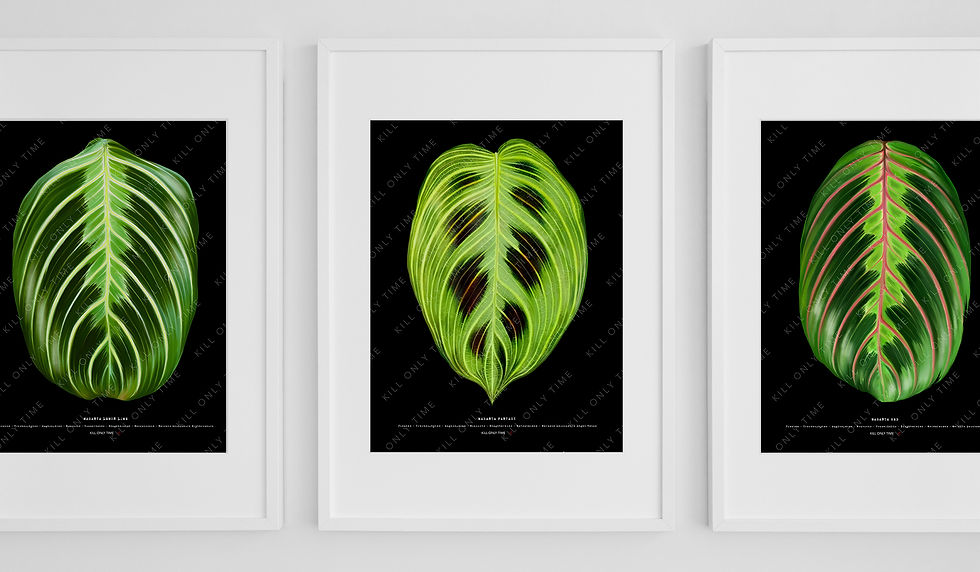 Thumbnail: Maranta Fantasy Art Print