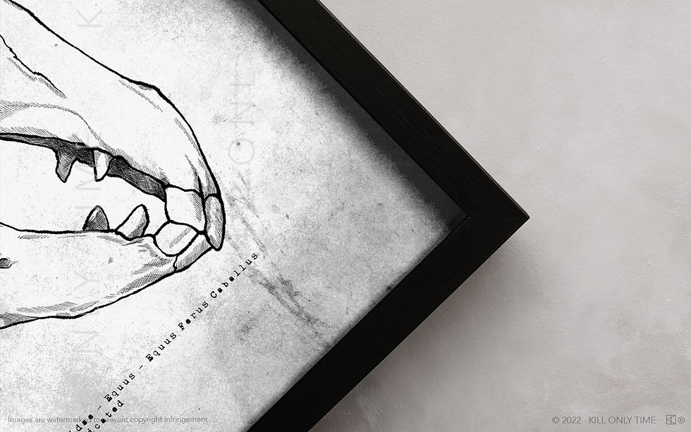 Thumbnail: Horse Skull Art Print