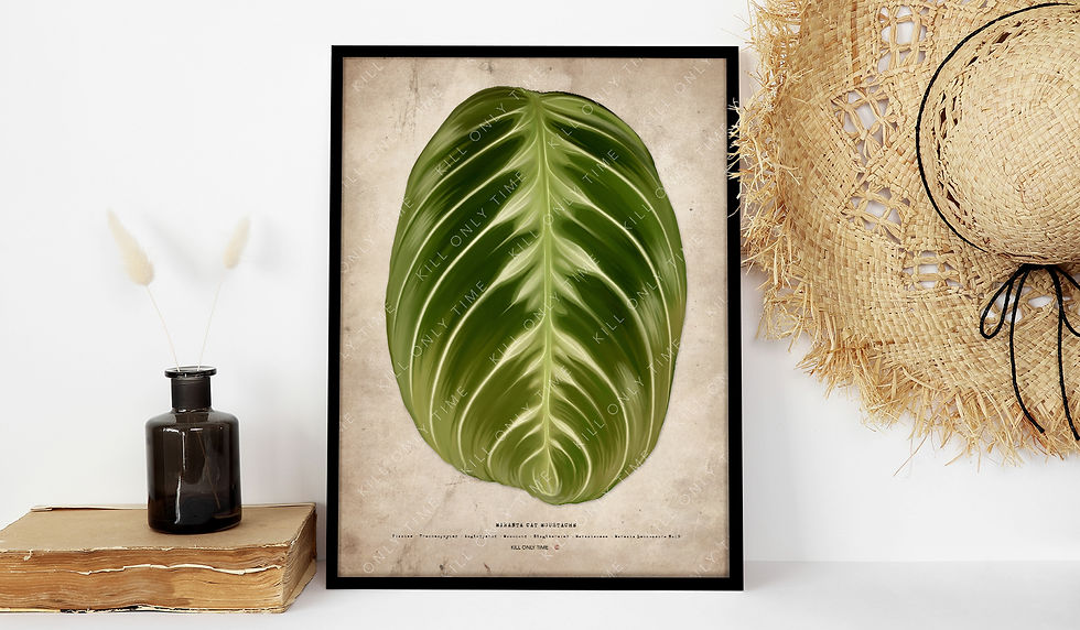 Thumbnail: Maranta Cat Moustache Art Print