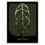 Thumbnail: Vintage Monstera Obliqua Art Print