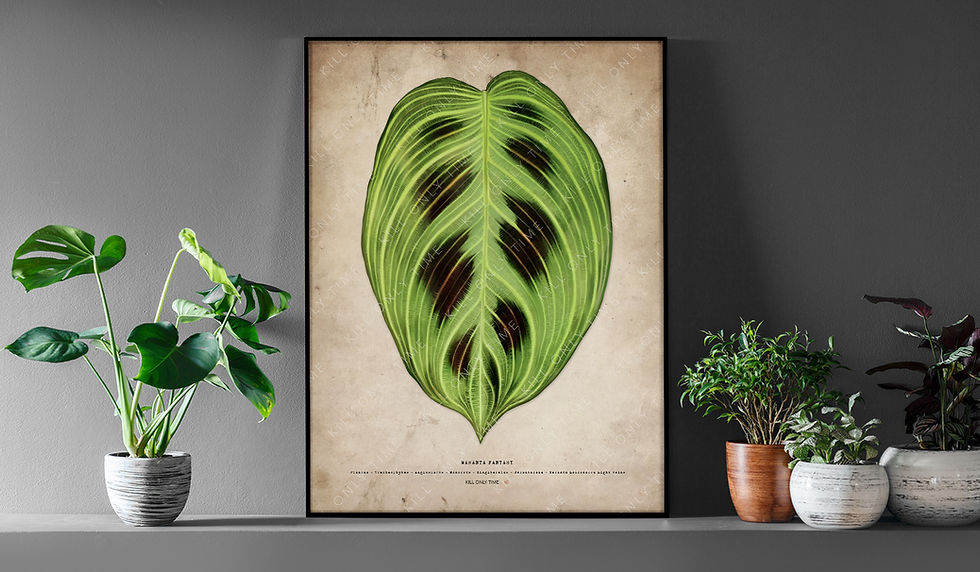 Thumbnail: Maranta Fantasy Art Print