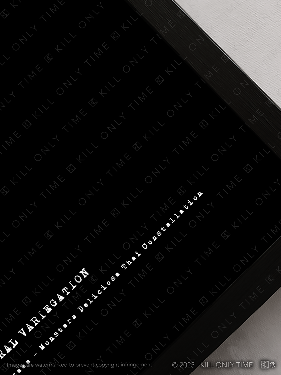 Thumbnail: Monstera Thai Constellation Sectoral Variegation Art Print