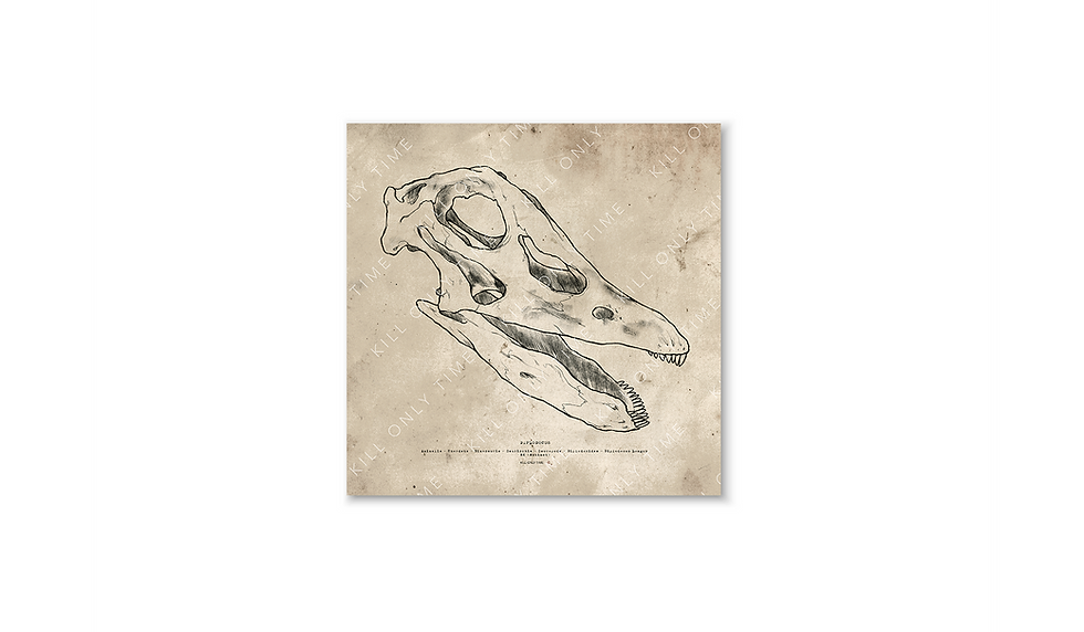 Thumbnail: Diplodocus Skull Art Print